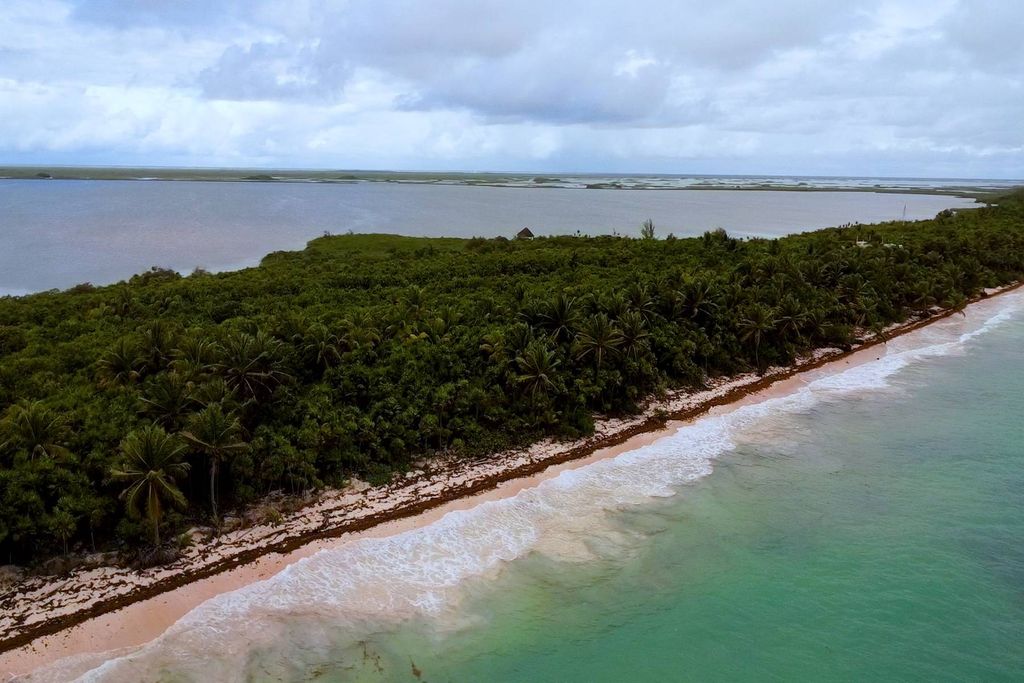 Building Land in Tulum, Quintana Roo  2