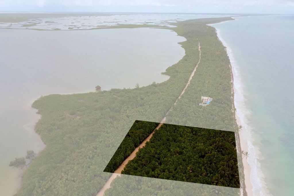 Building Land in Tulum, Quintana Roo  5