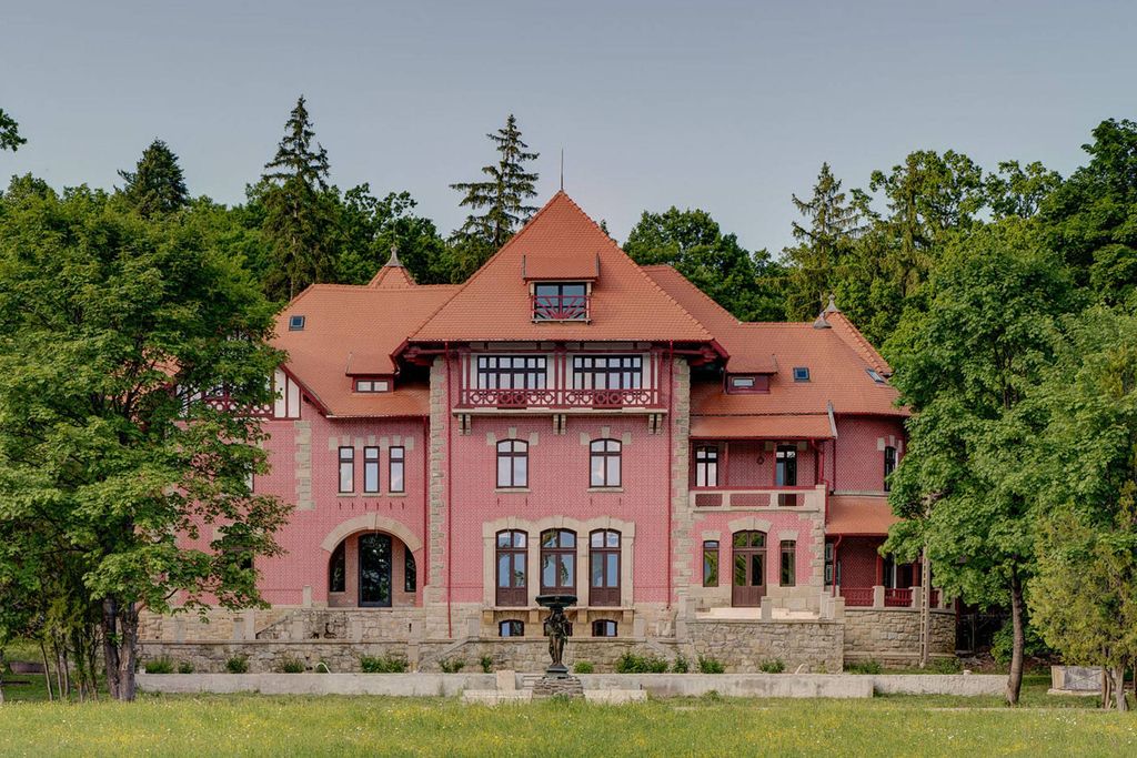 Château · Castle in Dărmăneşti