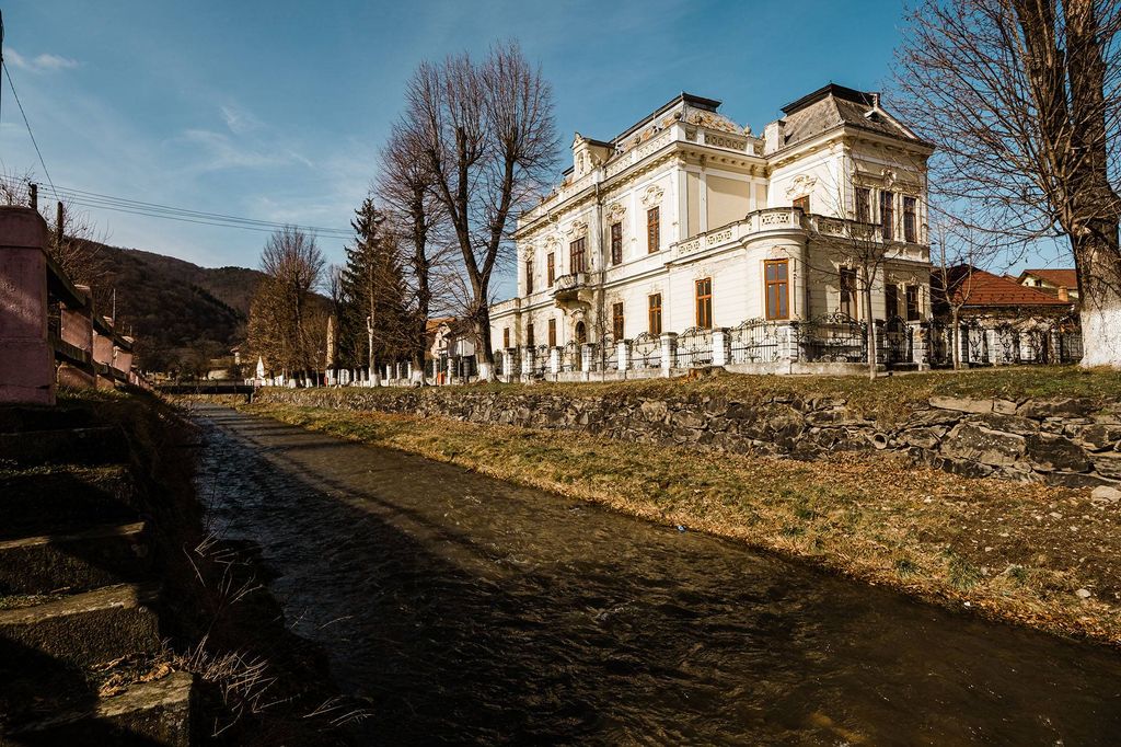 Château · Castle in Sălişte