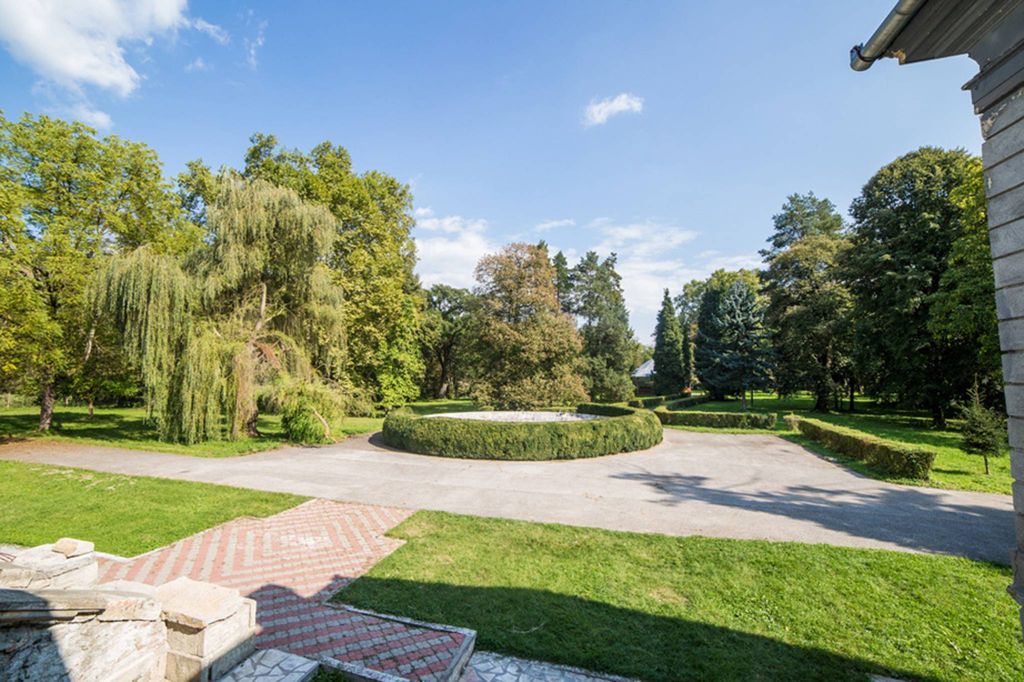 Château · Castle in Hunedoara