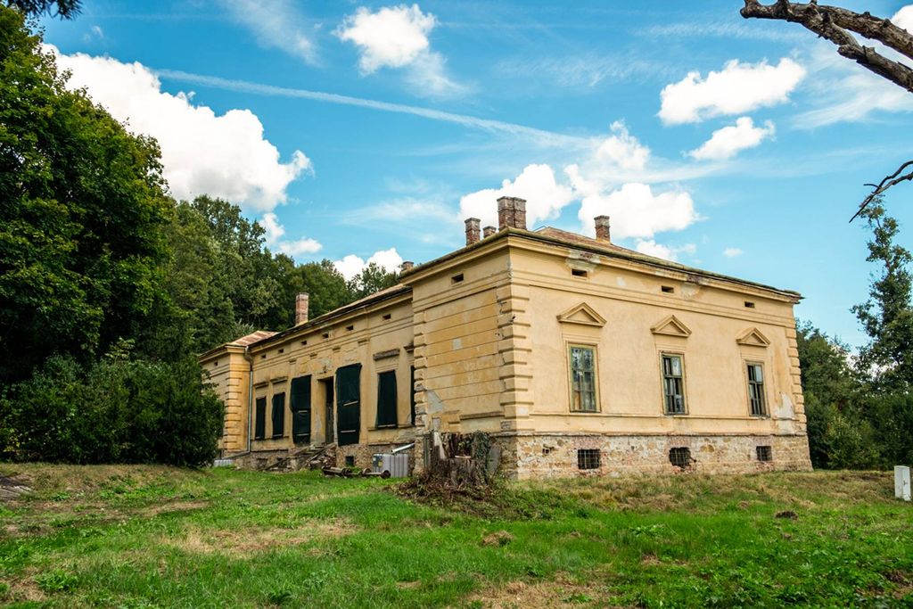 Château · Castle in Odvoș