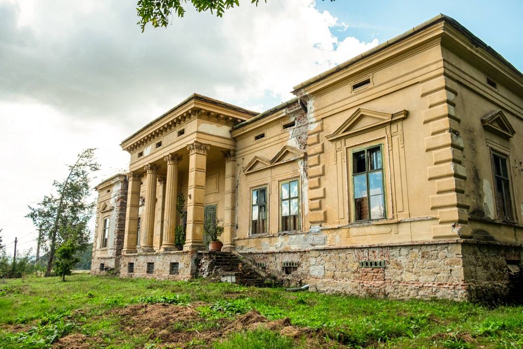 Château · Castle in Odvoș