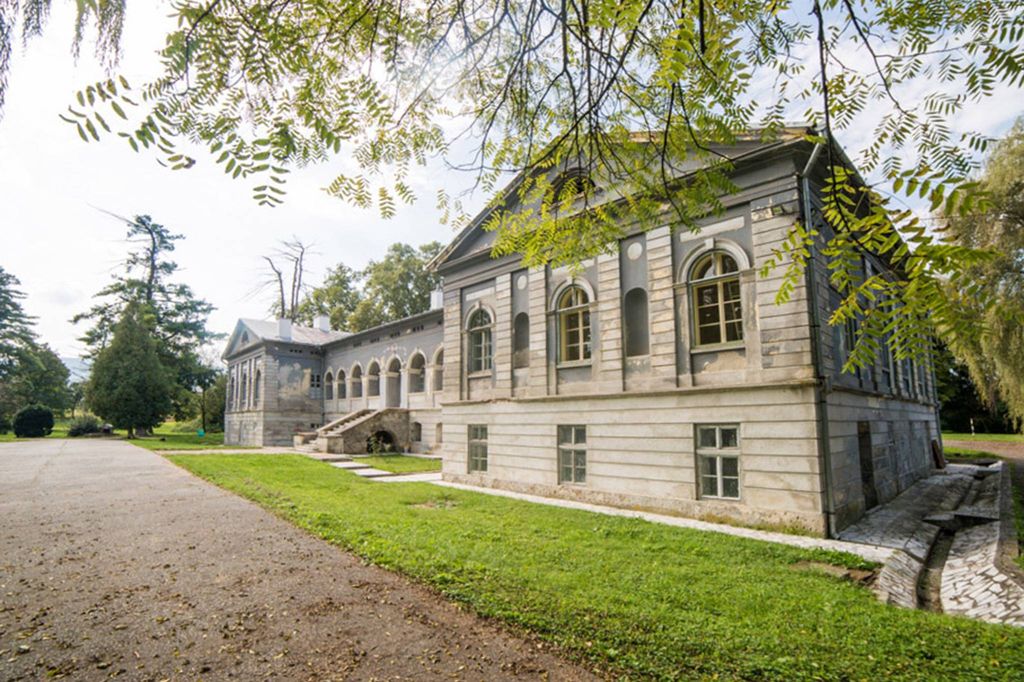 Château · Castle in Hunedoara