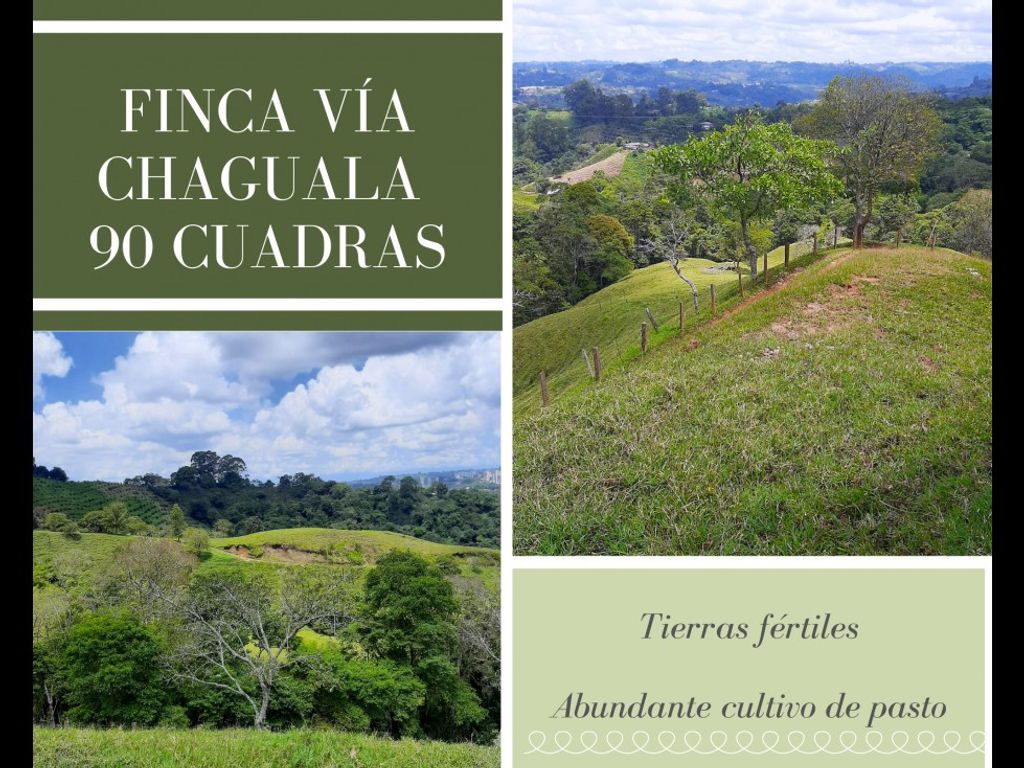 Armenia, 콜롬비아 럭셔리호텔 옥내 면적 576000 m² 매매 127973950