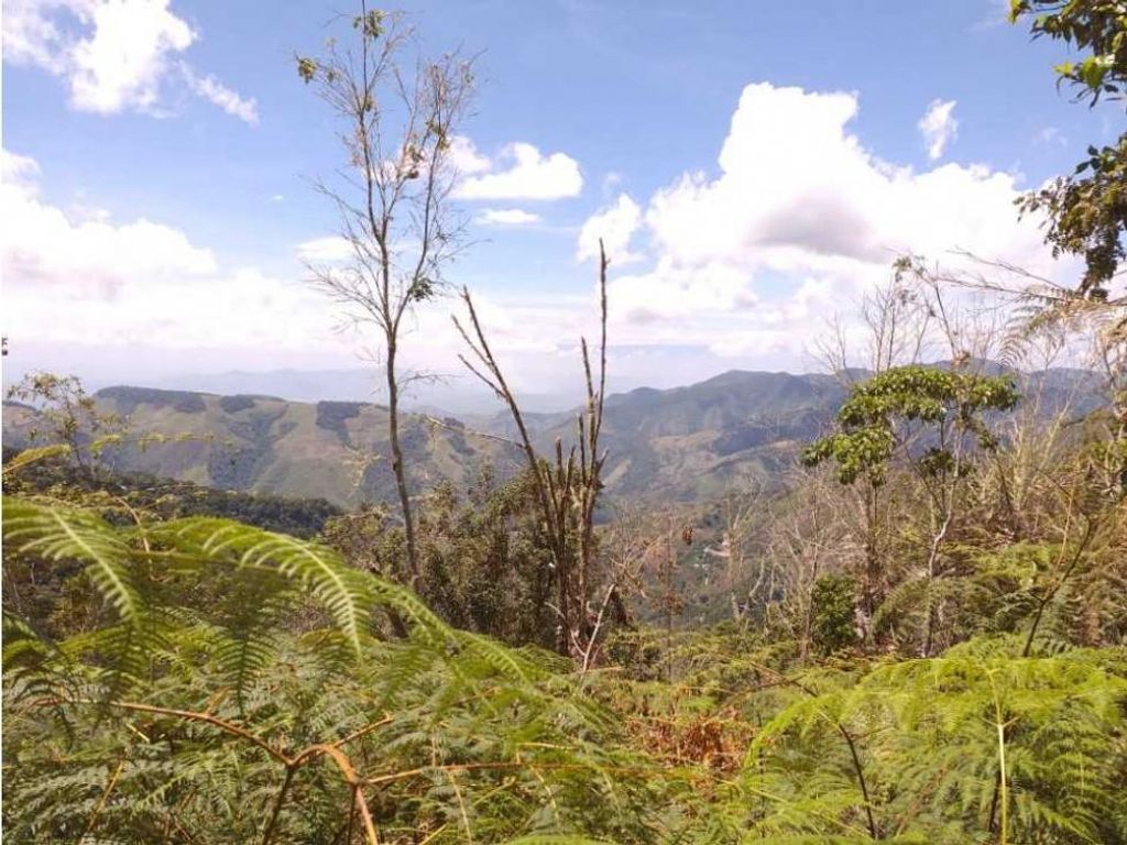 Cortijo de alto standing en venta Ansermanuevo, Departamento del Valle del Cauca