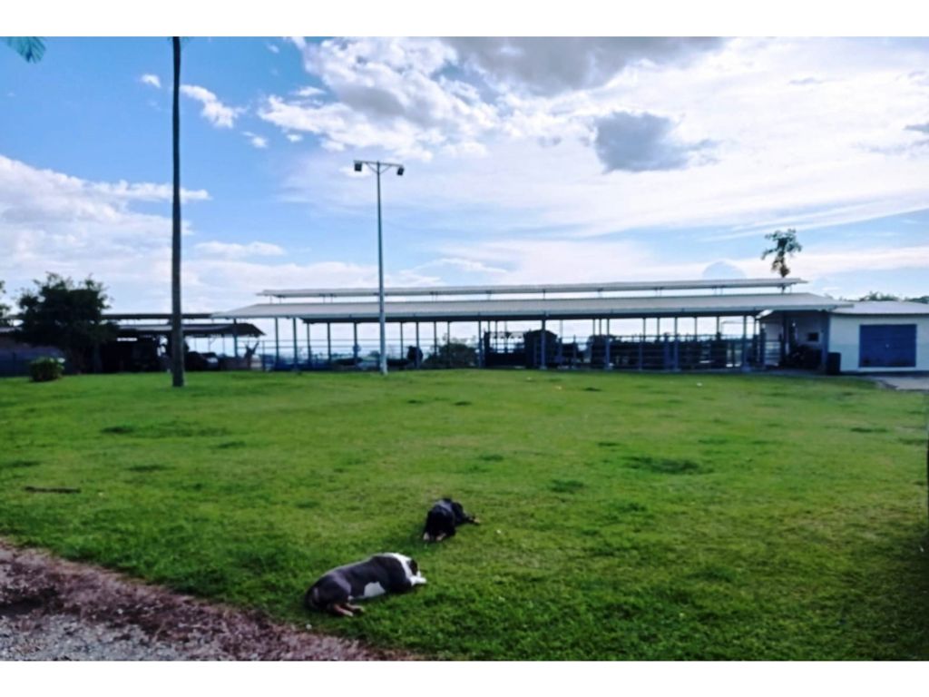 5 bedroom exclusive farmhouse for sale in Armenia, Quindío Department