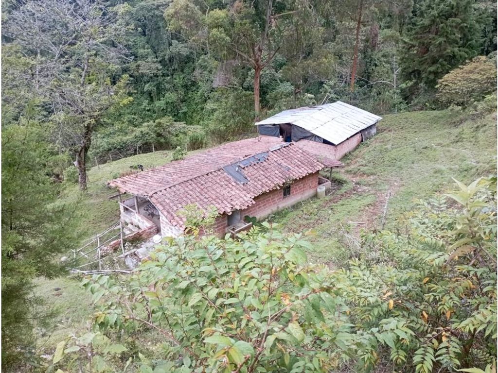 Terreno / Solar de 190000 m2 en venta - La Estrella, Colombia