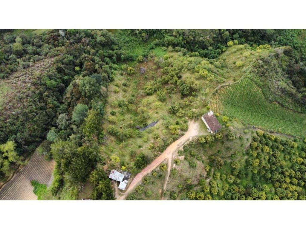 Terreno / Solar de 65000 m2 - San Vicente, Colombia