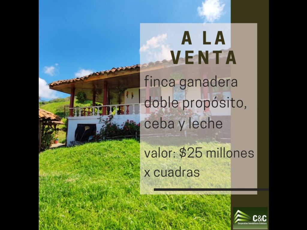 5 bedroom exclusive farmhouse for sale in Armenia, Colombia 129104568