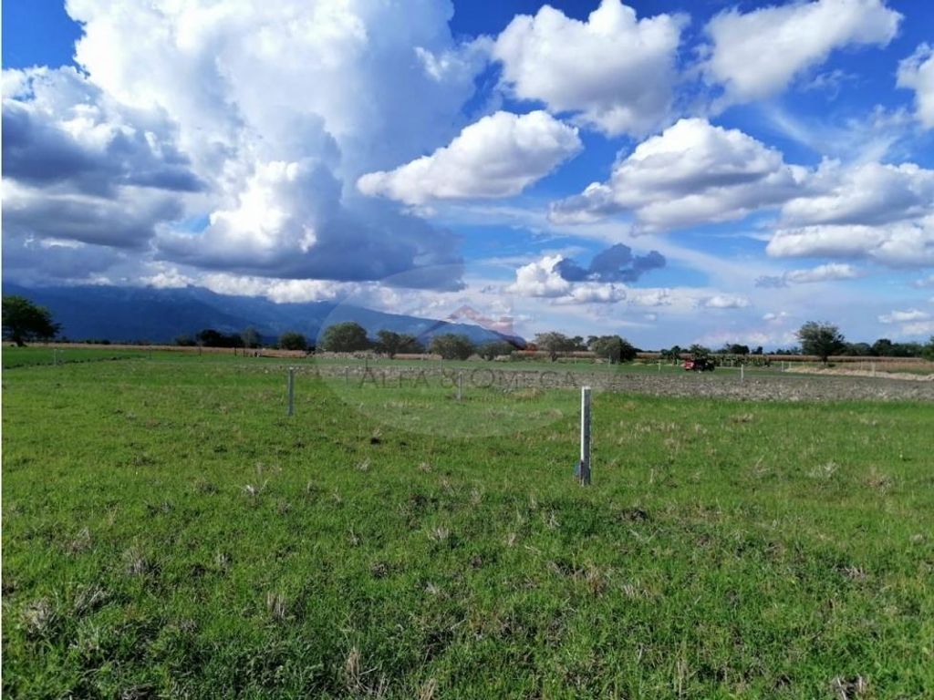 ferme-exclusive-de-4-chambres-en-vente-carthag-ne-departamento-de