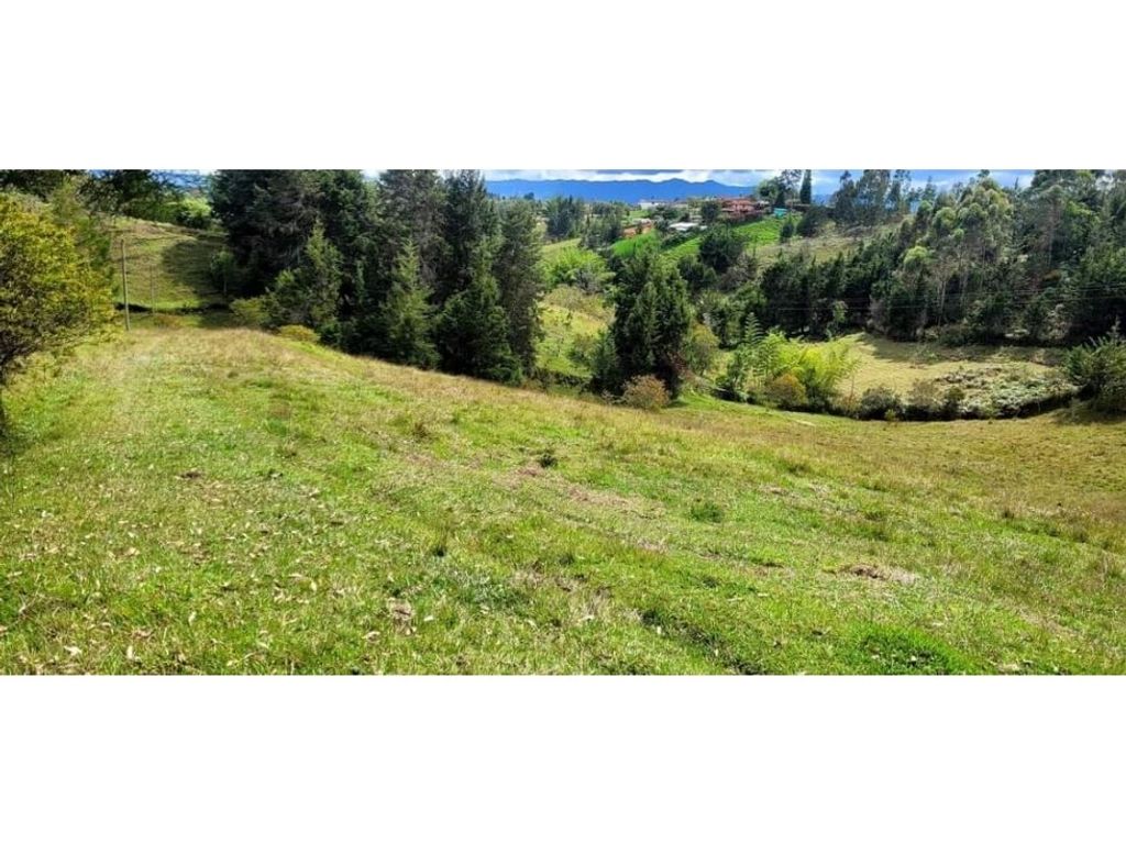 Development Land in Rionegro, Colombia 130523052