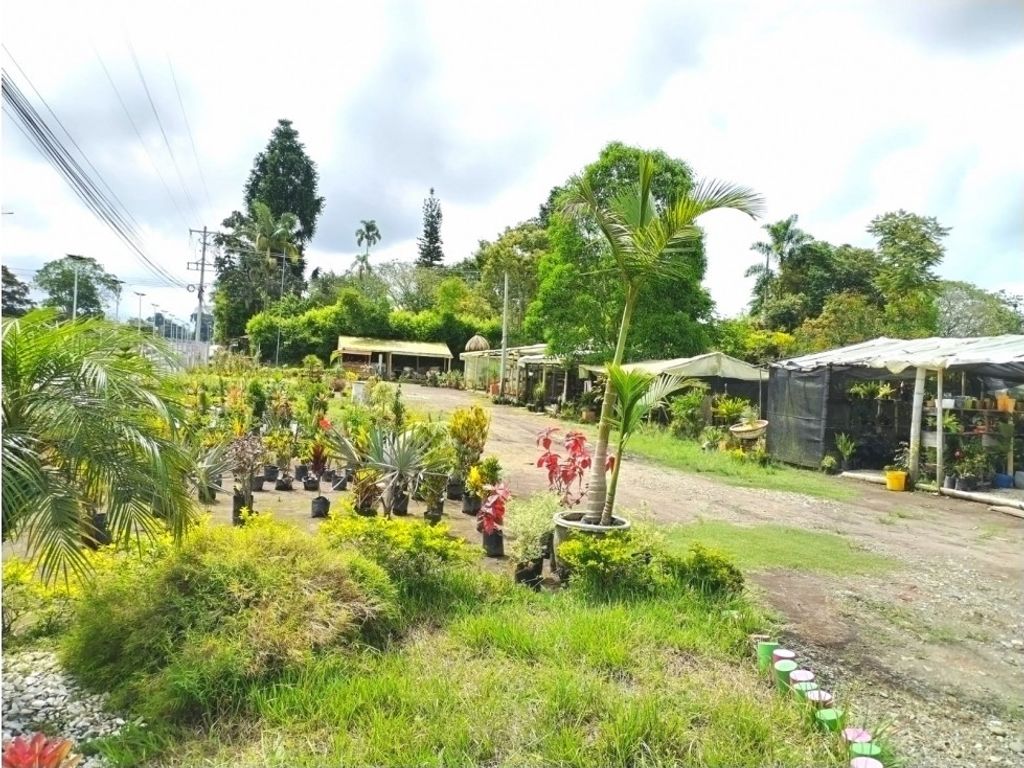 Land Available in Armenia, Colombia 129101447