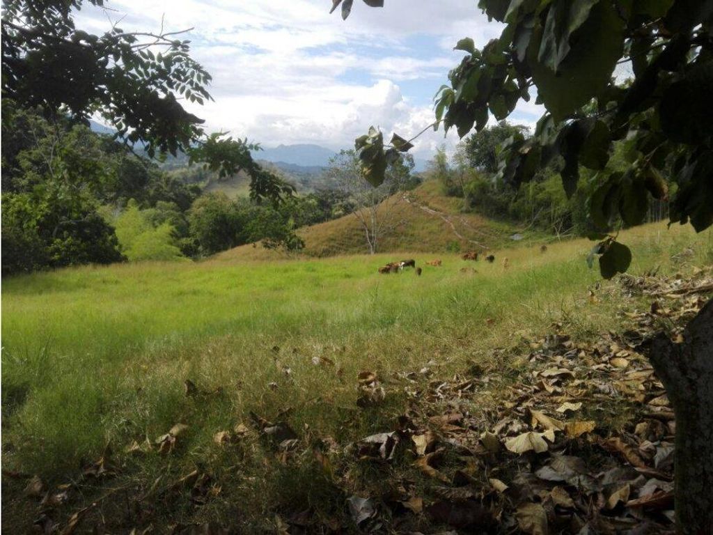 Cortijo de alto standing de 170 m2 en venta Manizales, Departamento de