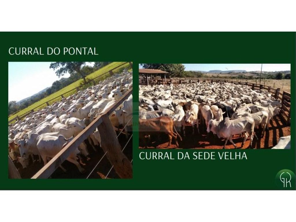 À venda Fazenda de 210000 m2 - Campinápolis, Mato Grosso