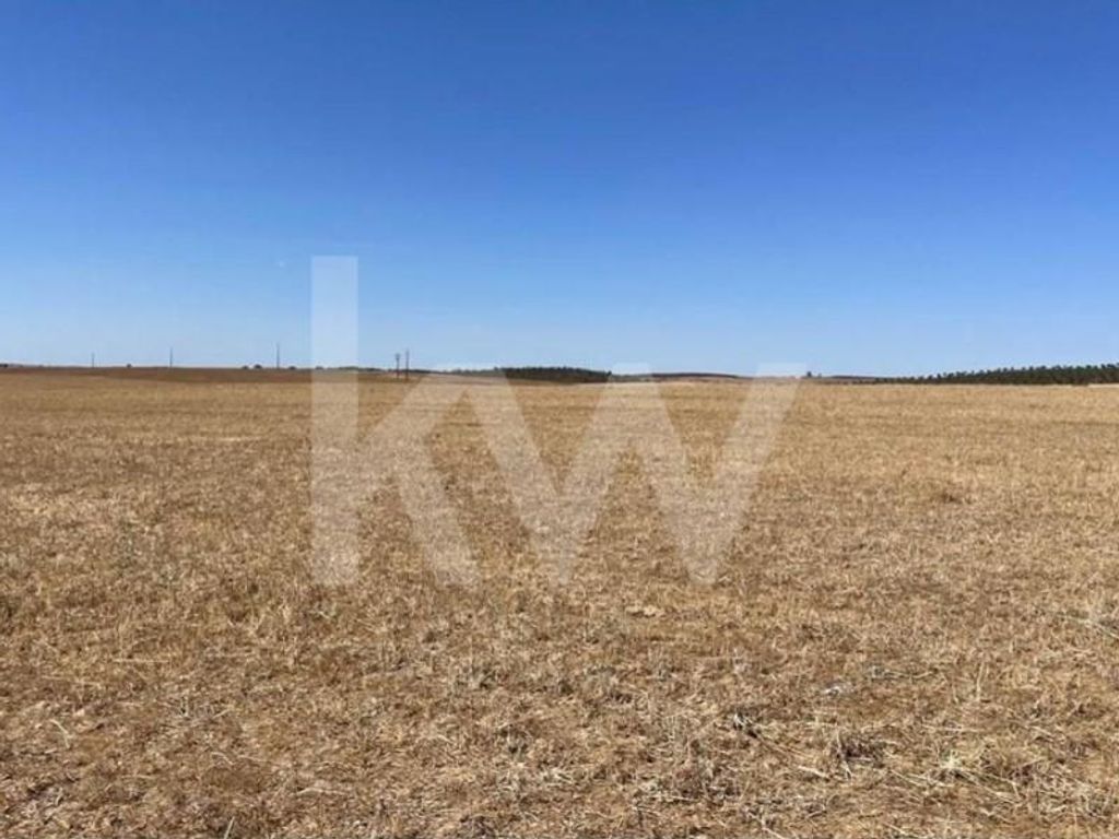 Baugelände Castro Verde, Portugal 128895887