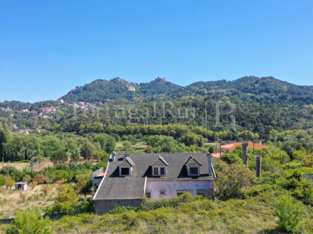 Villa de luxe de 5 pièces en vente Sintra, Lisbonne 128065797