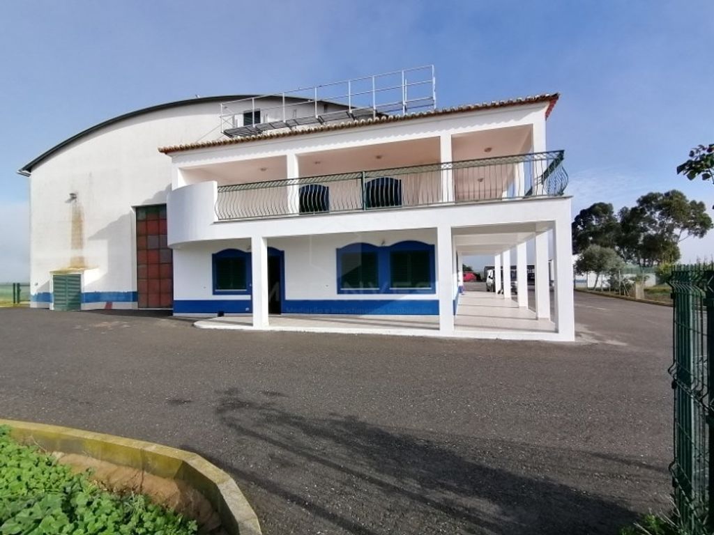 Ferme en vente, Castro Verde, Portugal 105290525