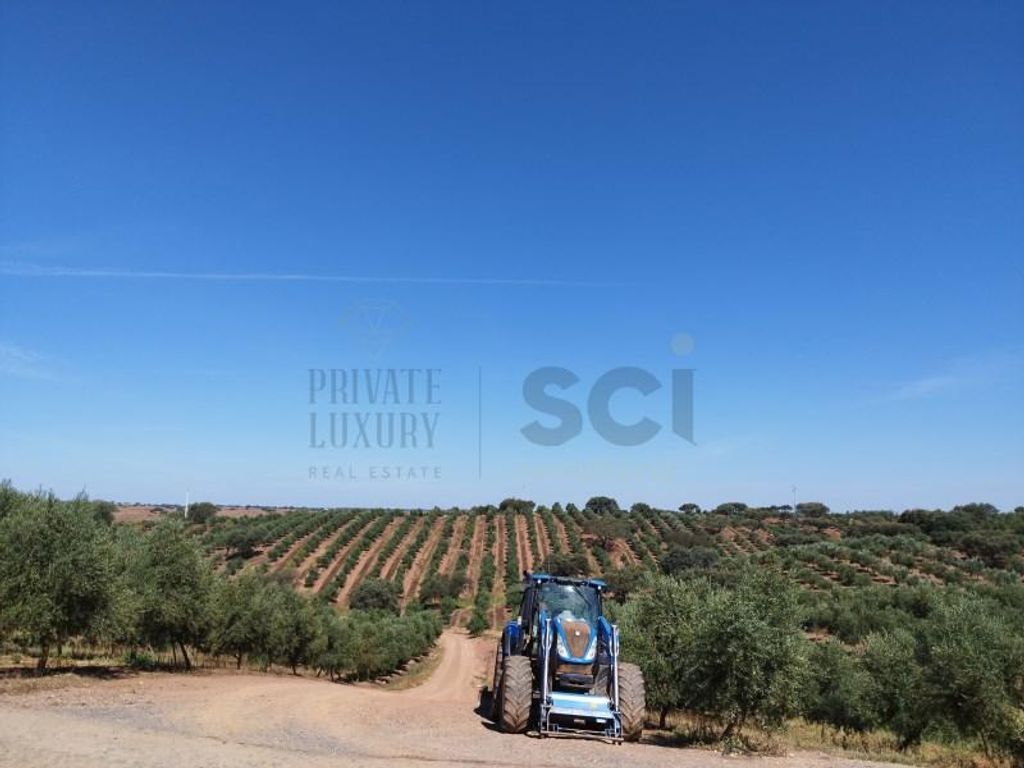 Farm for sale in Beja, Portugal 128927152