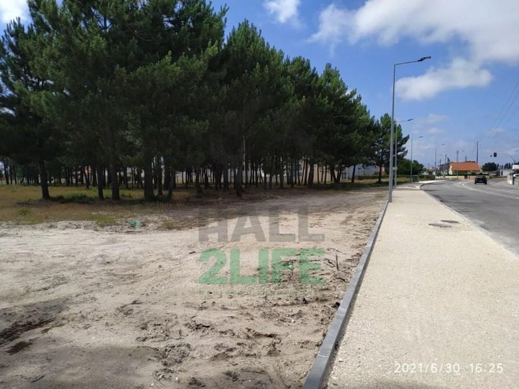 Terreno / Solar de 10800 m2 en venta Marinha Grande, Portugal 110310665