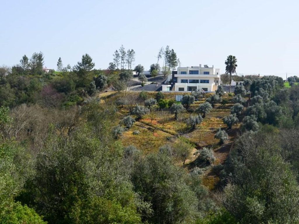 Maison de 4 pièces de luxe en vente à Santarém, Portugal 103403545