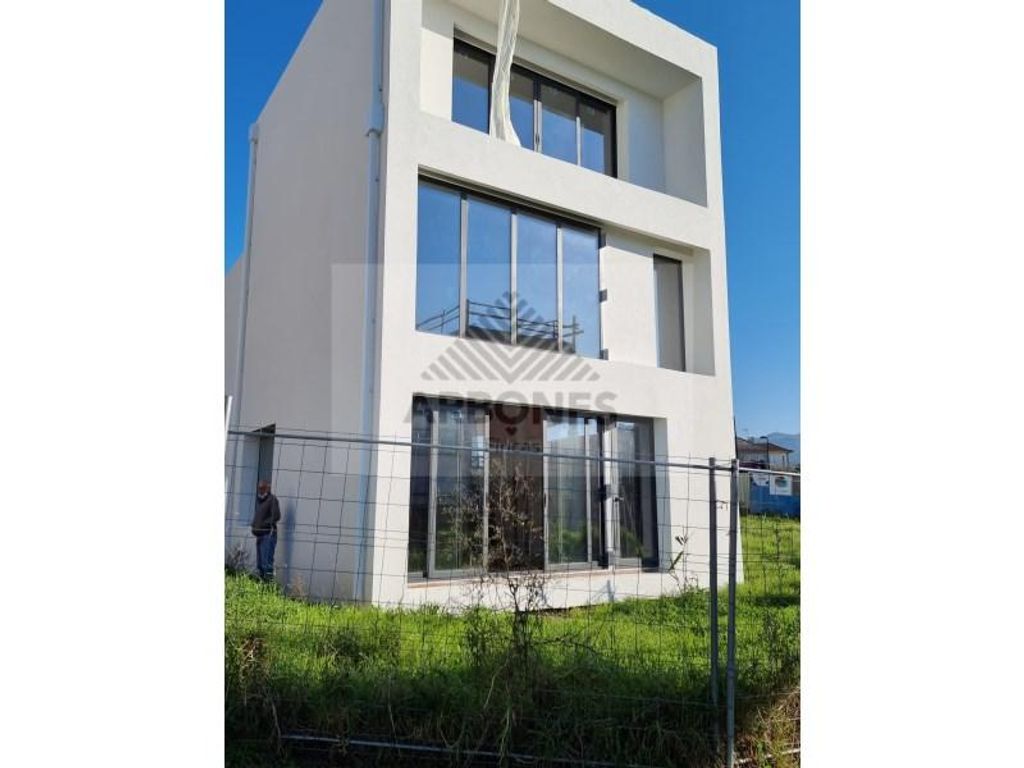 Vigo, ??? ?? ?? ?? 120449065