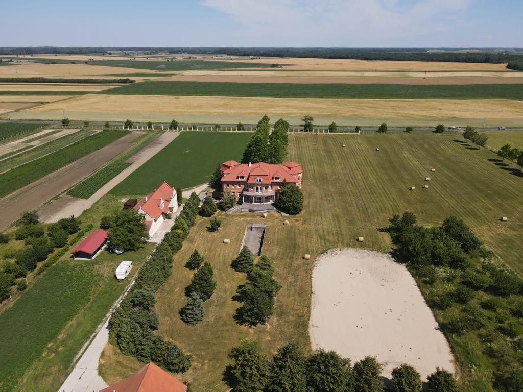 Château · Castle in Feketeerdő
