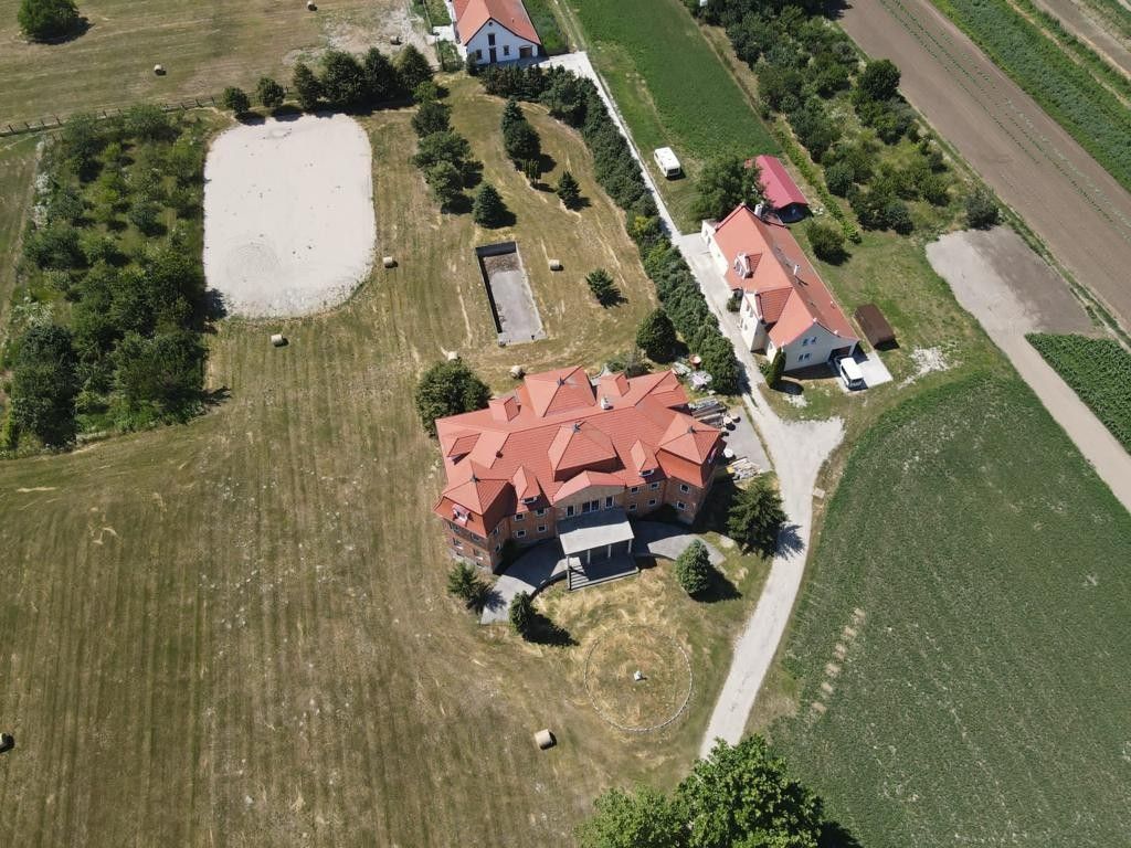 Château · Castle in Feketeerdő