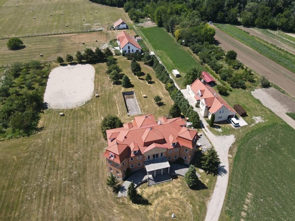 Château · Castle in Feketeerdő