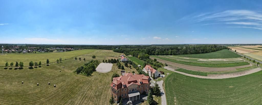 Château · Castle in Feketeerdő