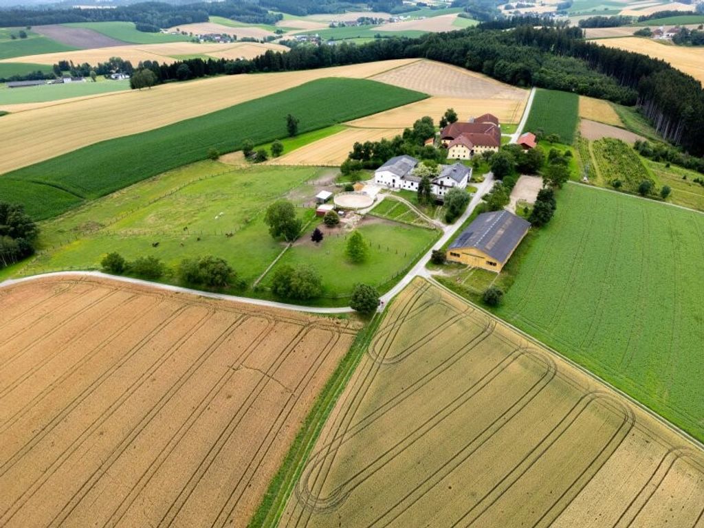 Bauernhof von 550 m2 zu verkaufen - Gunskirchen, Oberösterreich ...