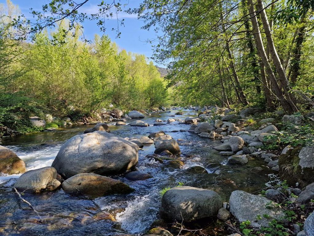 Maison de luxe en vente à ArlessurTech, France 128868386