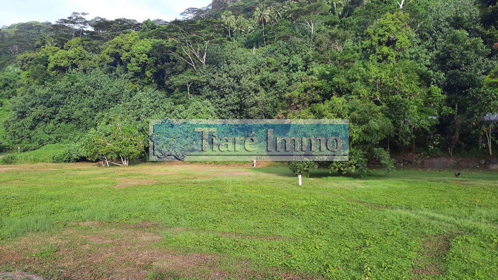 Terrain de 950 m2 en vente Moorea, Polynésie Française 128417226