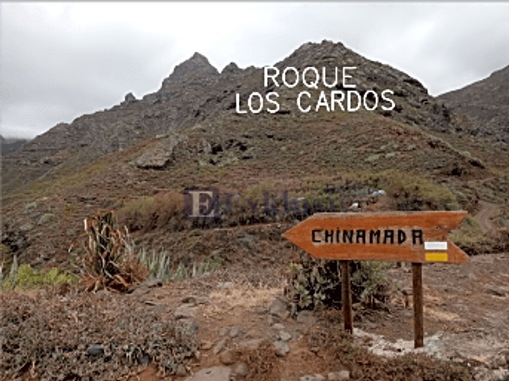 Land Available in Bajamar, Canary Islands 129653327