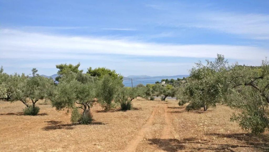 Development Land in Oropós, Greece 124054125