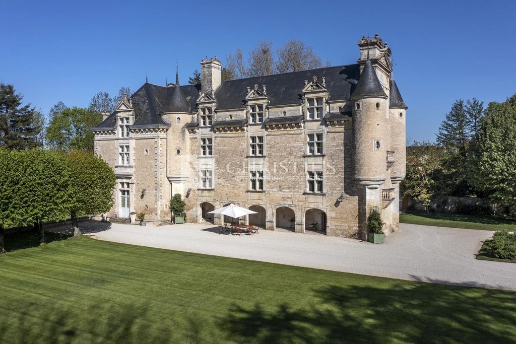 Castle for sale Pioussay, France 64273443