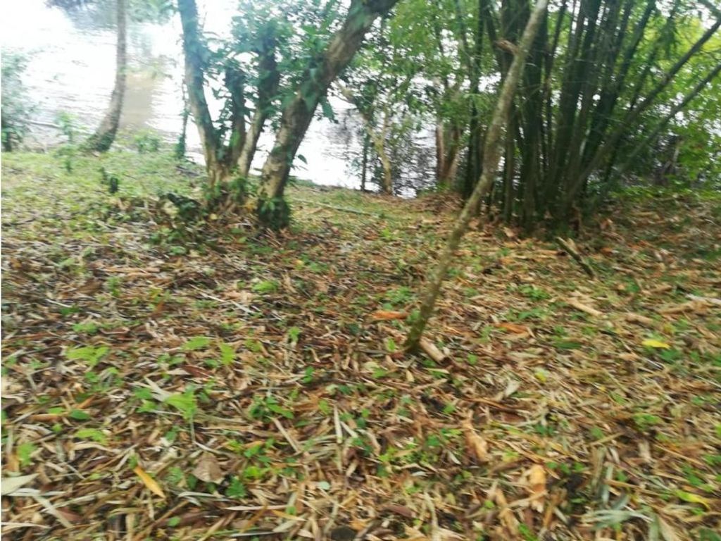 Роскошный Сельский дом в продажа Бокас-дель-Торо, Панама - 129267780 ...