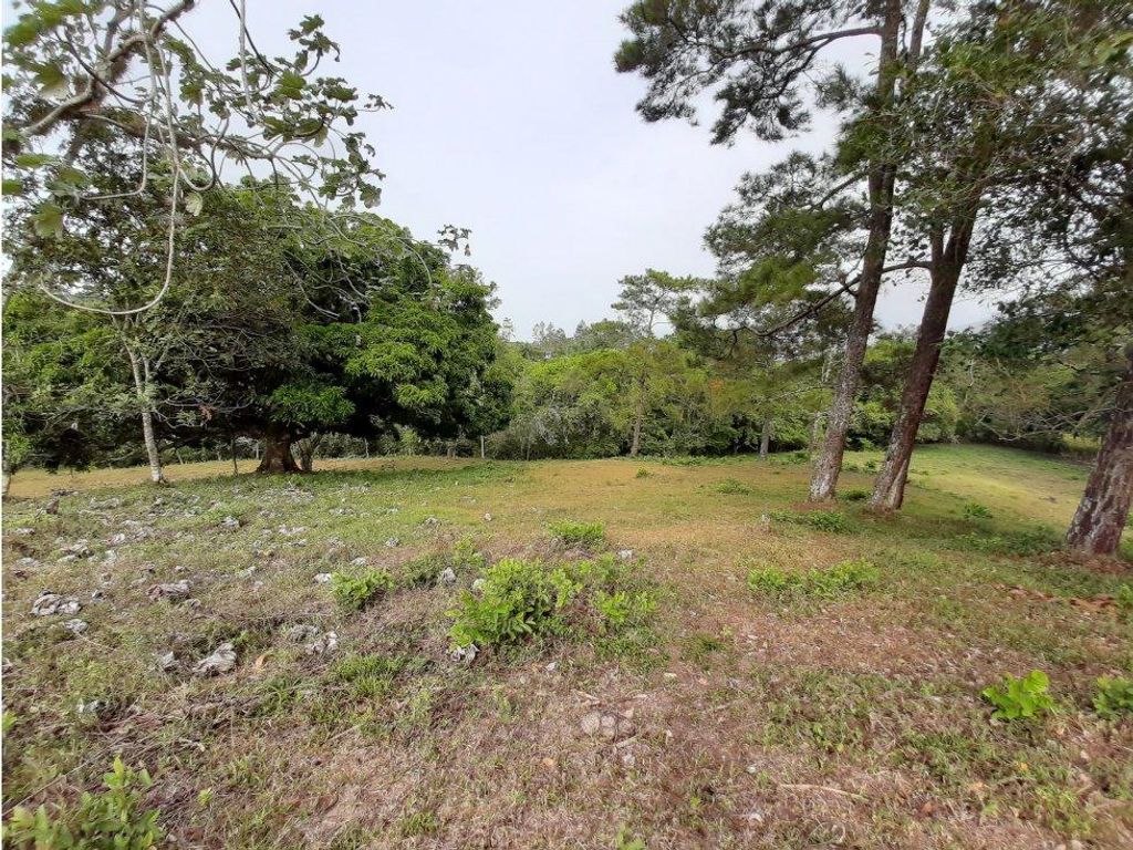 Building Land in Jarabacoa, Dominican Republic 113903865