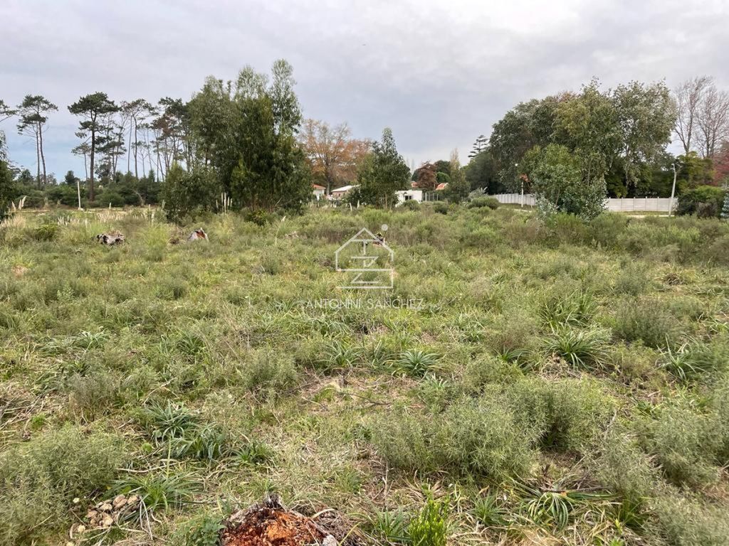 Земельный участок - Venta terreno zona Barrio golf Punta del Este, Punta del Este, Punta Del Este, Departamento de Maldonado