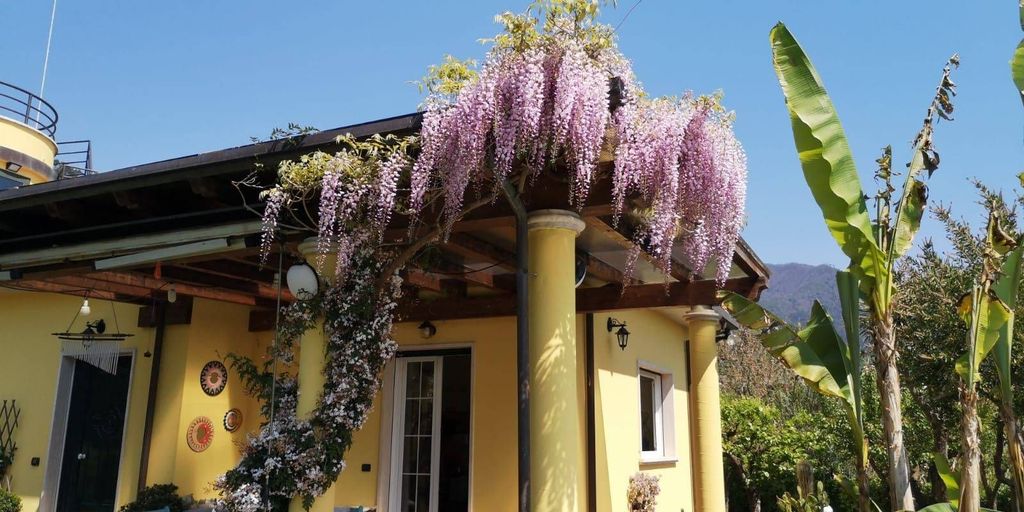 Casa – Montignoso - Vista 2