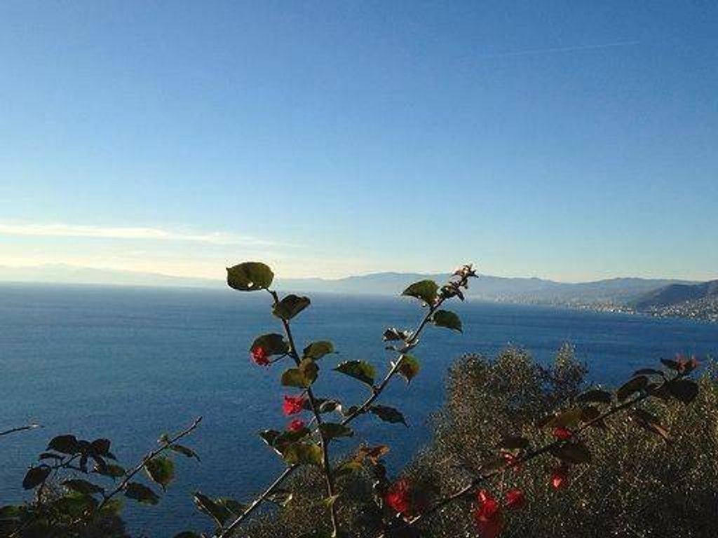 Appartamento – Camogli - Vista 3