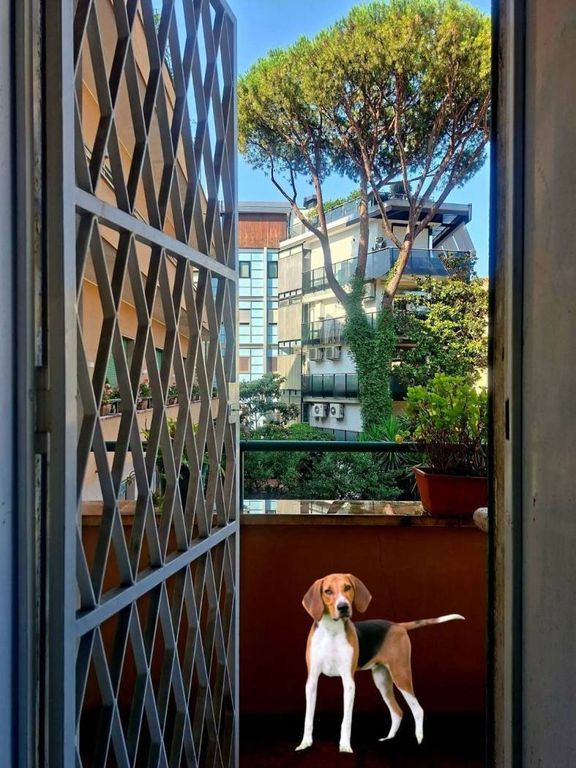 Appartamento – Rome - Vista 4