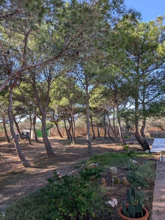 5 room luxury Villa for sale in SP102, Carloforte, Sardinia - View 4