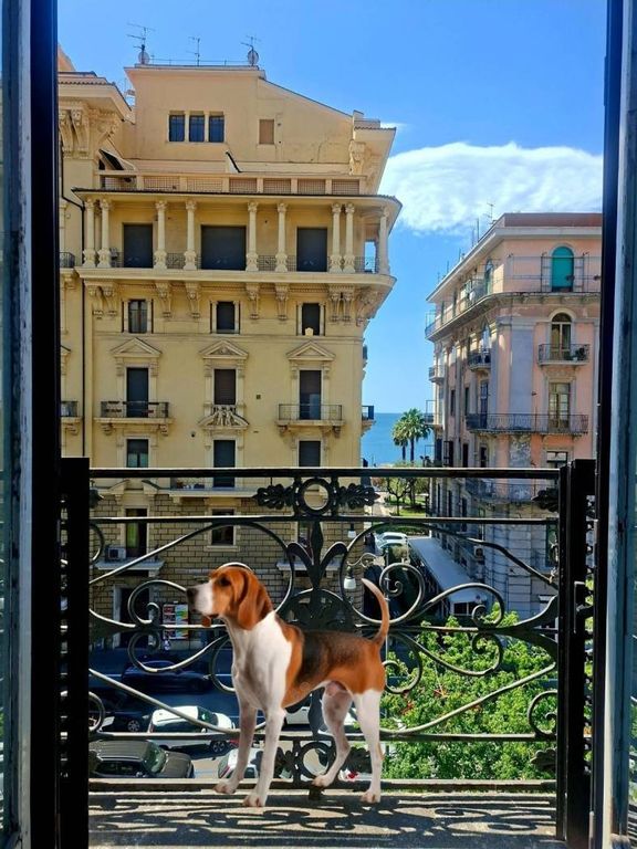 Appartamento – Salerno - Vista 4