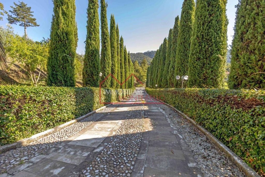 Casa – Camaiore - Vista 4