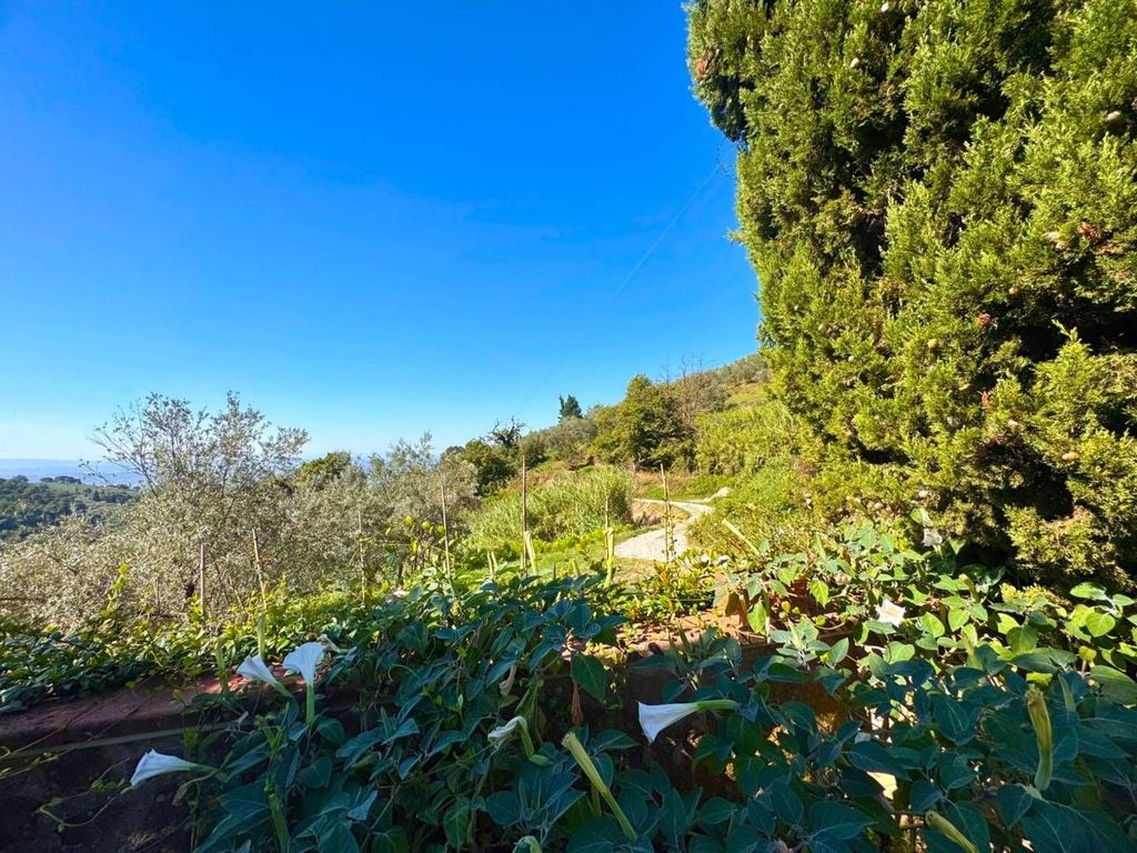 Casa – Vinci - Vista 4