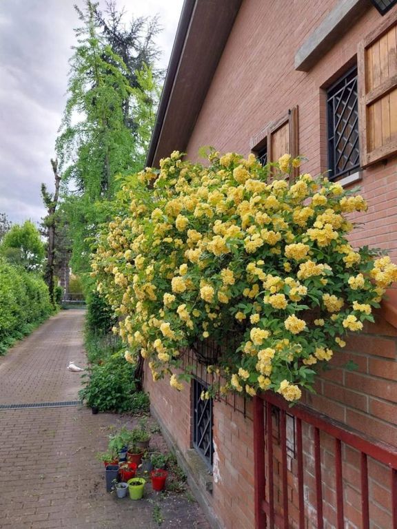 Casa – Granarolo dell'Emilia e Viadagola - Vista 5