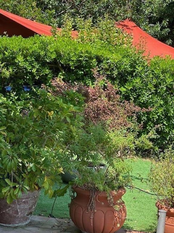 Apartment in Ameglia - View 5