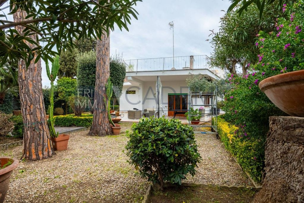 House in Santa Marinella - View 5
