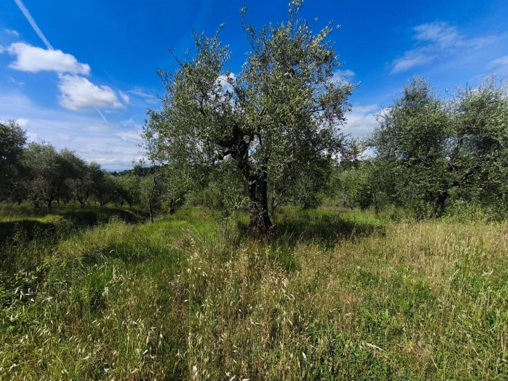 Casa – Palaia, Rosino Alto - Altro